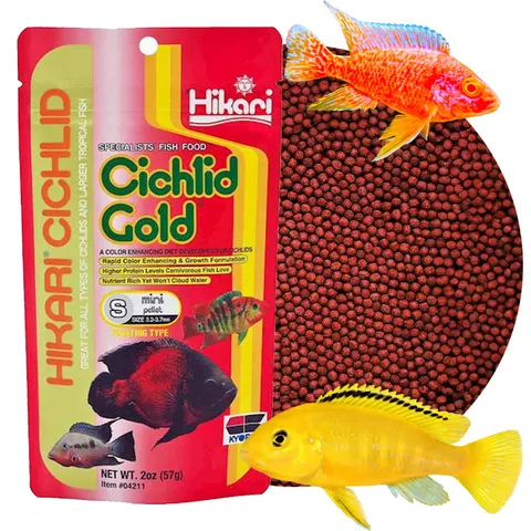 Hikari cichlid gold medium 250g dla pielęgnic