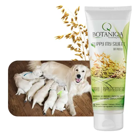 BOTANIQA SZAMPON PUPPY MY SWEET PROTEINY 250ML