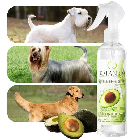 Odżywka w spray'u Tangle Free 250ml Botaniqa