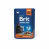 BRIT CAT POUCHES 100g LAMB FOR STERILIZED mokra karma dla kotów