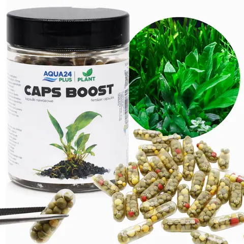 Aqua24 Plus Plant Caps Boost Kapsułki Nawozowe do Korzeni Roślin 60szt