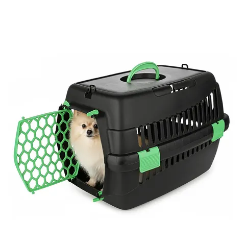 Happet Transporter Teddy M 56x37x37cm Zielony Plastikowy