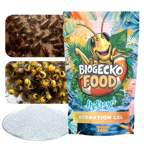 BioGecko Food Insect Hydrogel Hydrożel dla Owadów 100g