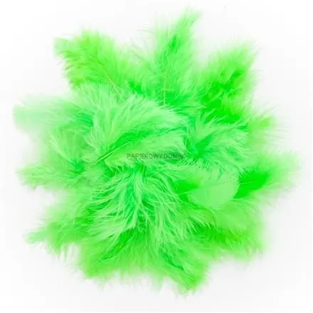 Piórka 5-12 Cm, 5 G Green Dpcraft