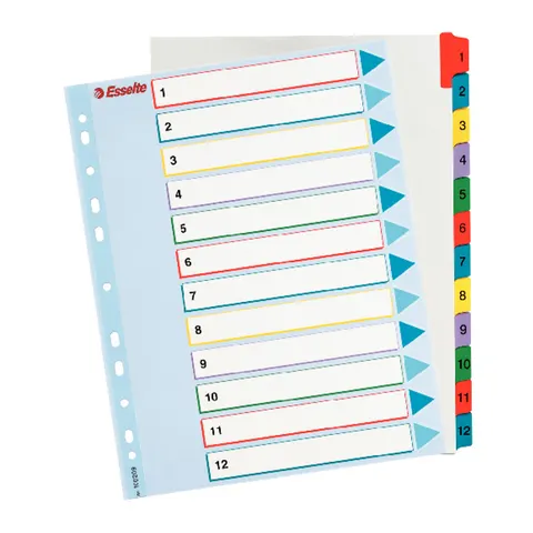 Przekładki kartonowe Mylar A4 Maxi Esselte 1-12