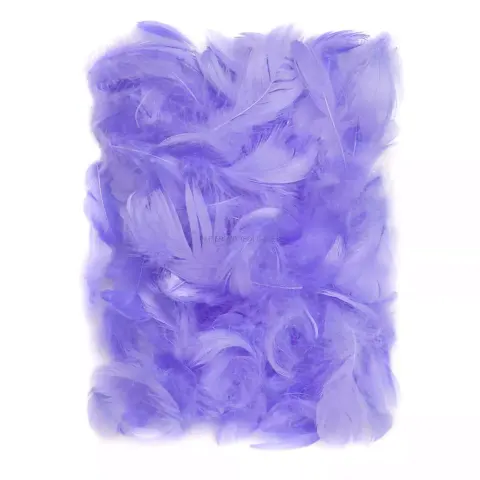 Piórka liliowe 5-12 cm 10g