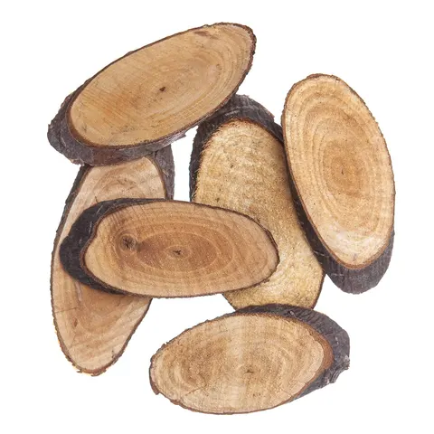 Plastry drewna Owal 5-8cm 6 sztuk dpCraft
