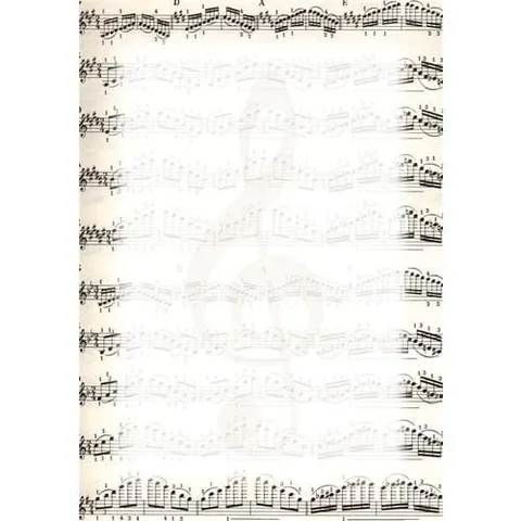Dyplom A4 Nuty 25 arkuszy 170g, Galeria Papieru