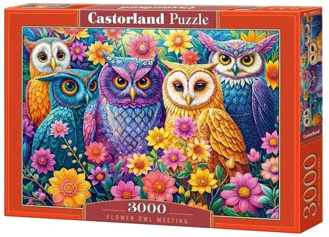 Puzzle 3000-el. Flower Owl Meeting C-300723-2, Castorland