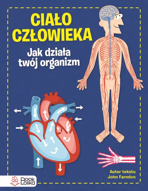Ciało człowieka. Jak działa Twój organizm