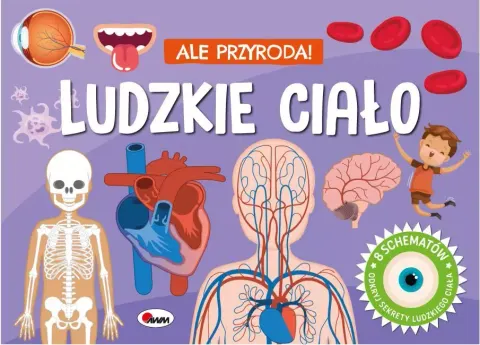 Ale przyroda. Ludzkie ciało