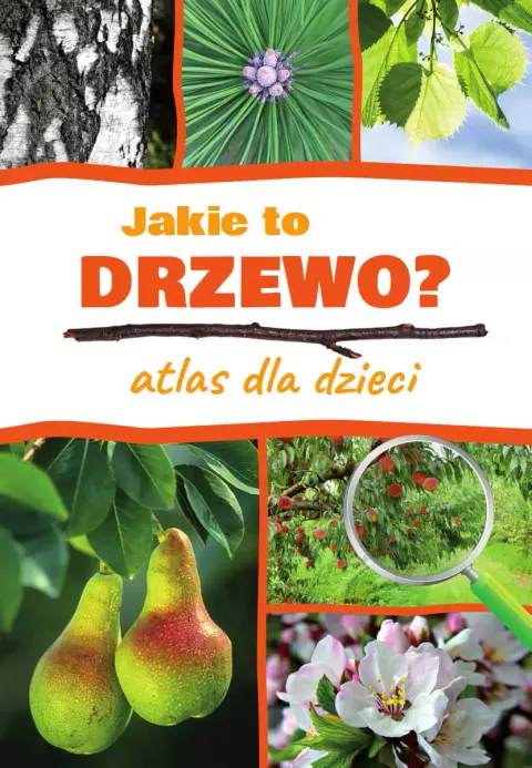 Jakie to drzewo? Atlas dla dzieci