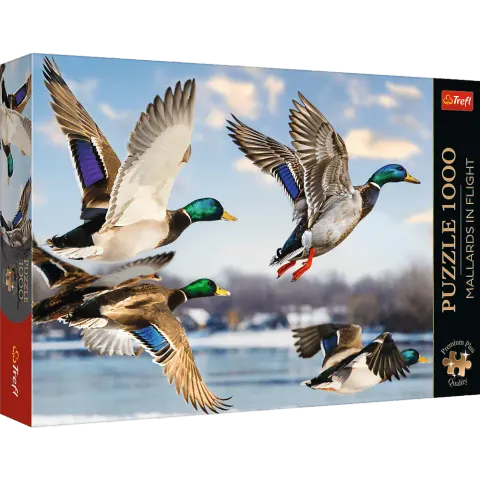 Puzzle 1000 elementów. Premium Plus Quality. Krzyżówki w locie