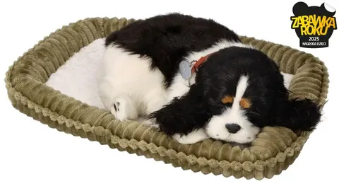 Zaadoptuj mnie Szczeniaczek oddychający Cocker Spaniel