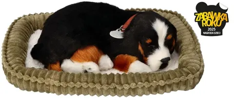 Perfect Petzzz Oddychający Berneńczyk do zaadoptowania