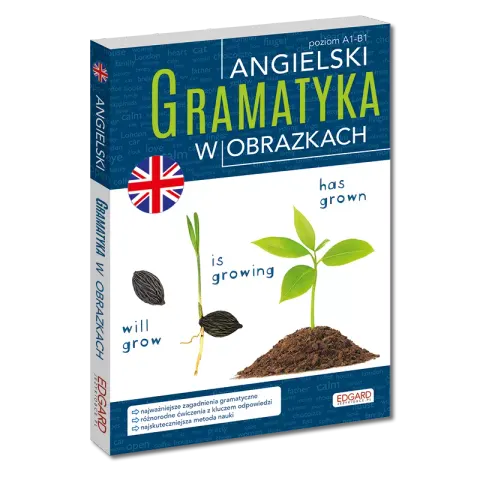Angielski. Gramatyka w obrazkach