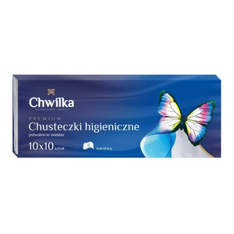 CHWILKA Chusteczki higieniczne SOFT 10X10, 1 op