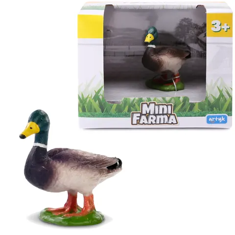 MINI FARMA KACZKA