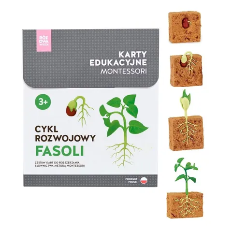 Karty Montessori CYKL ROZWOJOWY FASOLI + figurki