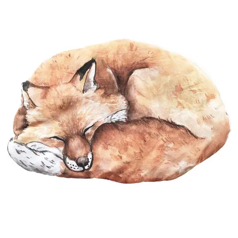 Poduszeczka Fox, BabySteps