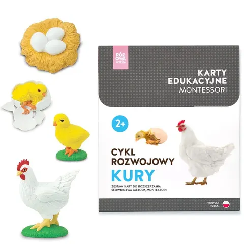 Karty Montessori CYKL ROZWOJOWY KURY + figurki
