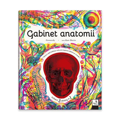 Gabinet anatomii wyd. 2