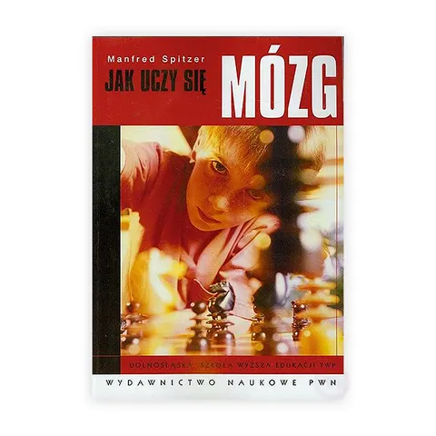 Jak uczy się mózg