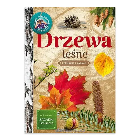 Młody obserwator przyrody. Drzewa leśne