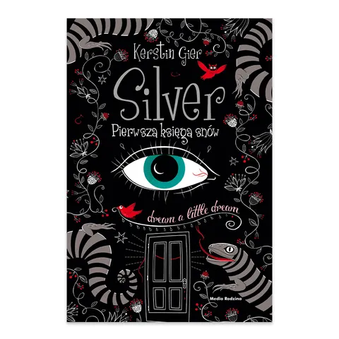 Silver. Pierwsza księga snów. Tom 1