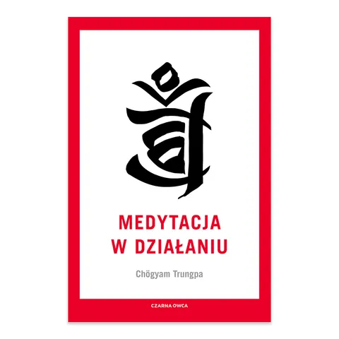Medytacja w działaniu