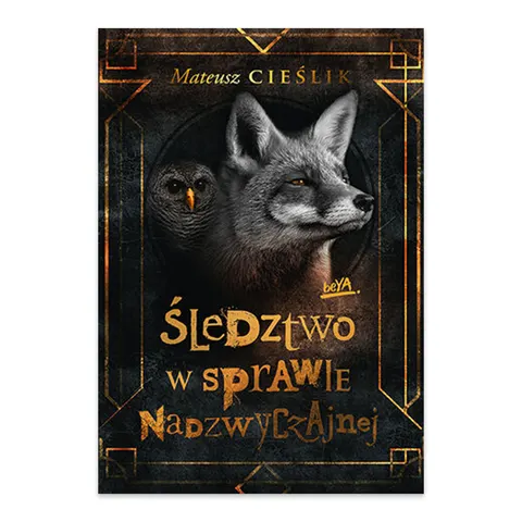 Śledztwo w Sprawie Nadzwyczajnej