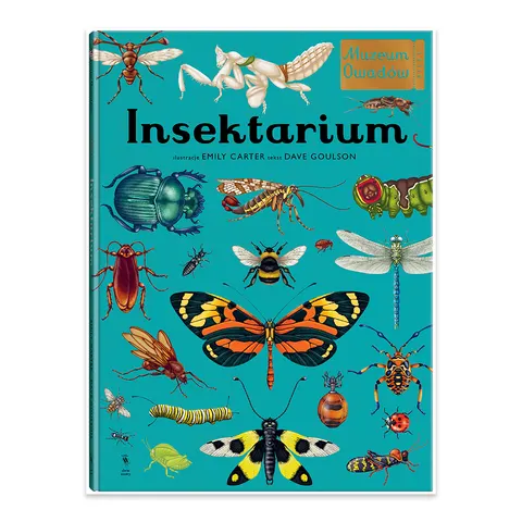 Insektarium. Muzeum Owadów