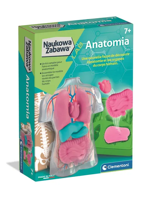 Anatomia 50252