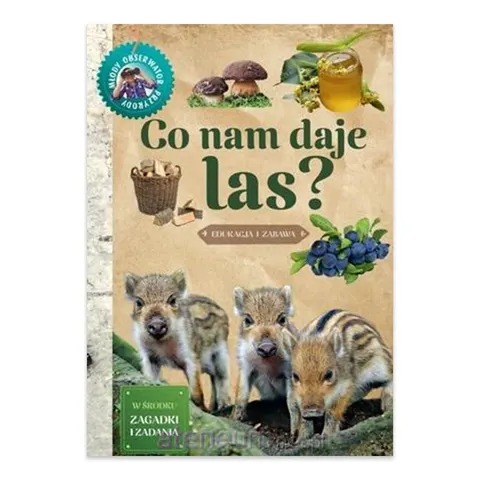 Młody Obserwator Przyrody. Co nam daje las