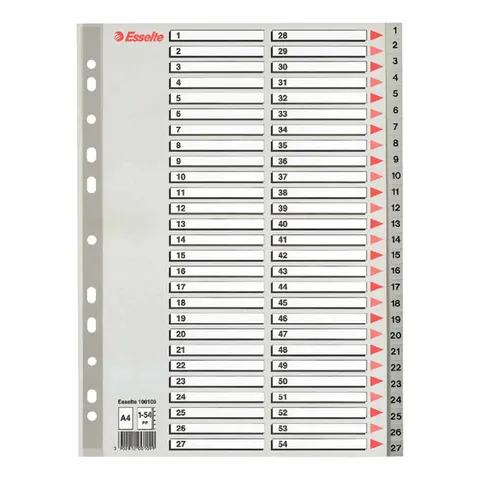 Przekładki na dokumenty Esselte - 54 zadrukowane numerycznie indeksy (1-54) format A4 / opk 54szt - szary