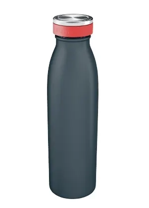 Butelka termiczna na wodę Leitz Cosy 500 ml aksamitny szary