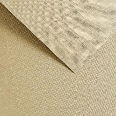 Galeria Papieru Karton ozdobny Ryps jasnobeżowy 20 szt./op. 250 g/m2