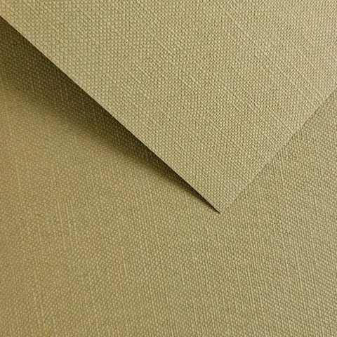 Galeria Papieru Karton ozdobny Ryps ciemnobeżowy 20 szt./op. 250 g/m2