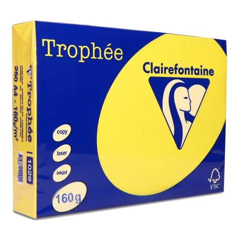 Papier kolorowy pastelowy Trophee A4 160 g słoneczny 250 ark