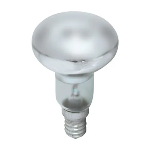 Żarówka reflektorowa R50 40W FROSTED