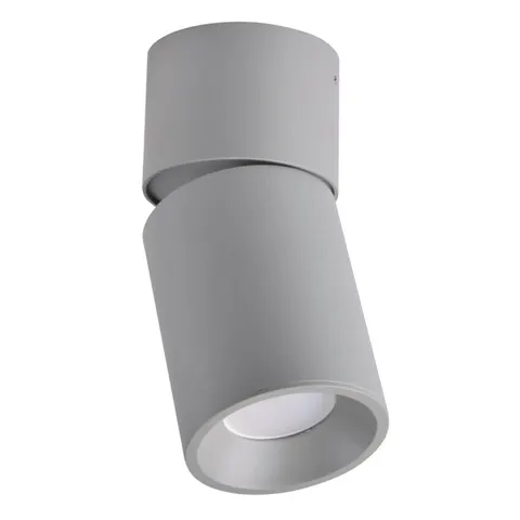 Platinum Oczko przegubowe natynkowe NIXA GU10 szare