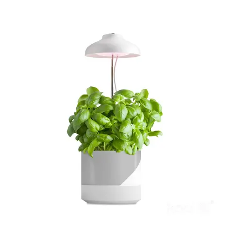 Lampa do roślin LED VERDI 5W 3200K Kobi Design