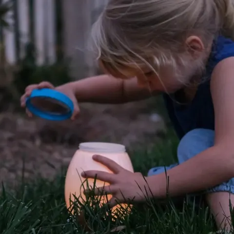 Obserwatorium owadów - nocna lampka - Fat Brain Toys