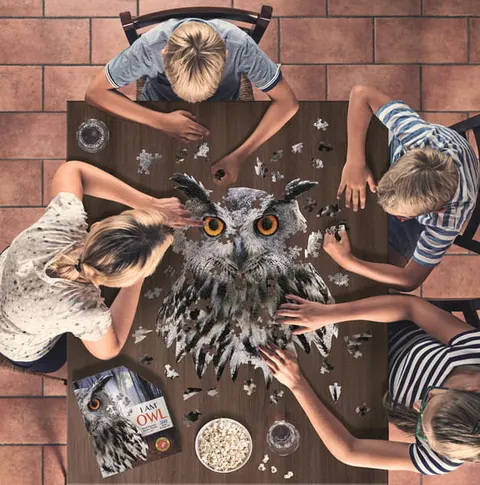 Puzzle I AM Sowa Madd Capp 300 el.