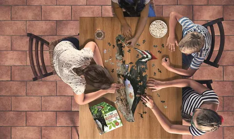 Puzzle I AM Dzięcioł Madd Capp 300 el.