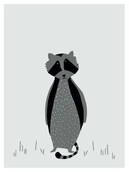Mr.Raccoon Plakat