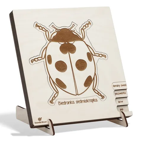 Drewniane puzzle edukacyjne "Cykl rozwoju biedronki"