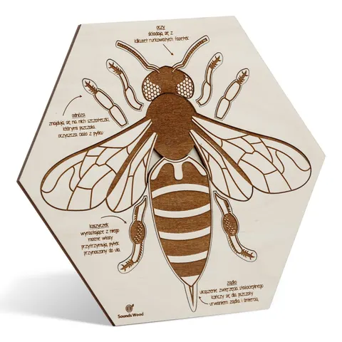 Drewniane puzzle edukacyjne "Pracowite pszczółki - anatomia pszczoły"