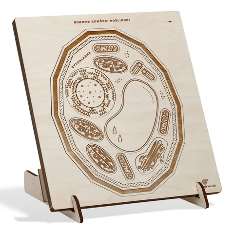 Drewniane puzzle edukacyjne "Budowa komórki roślinnej"