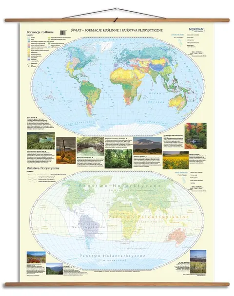 Państwa florystyczne i formacje roślinne świata Mapa ścienna do szkoły